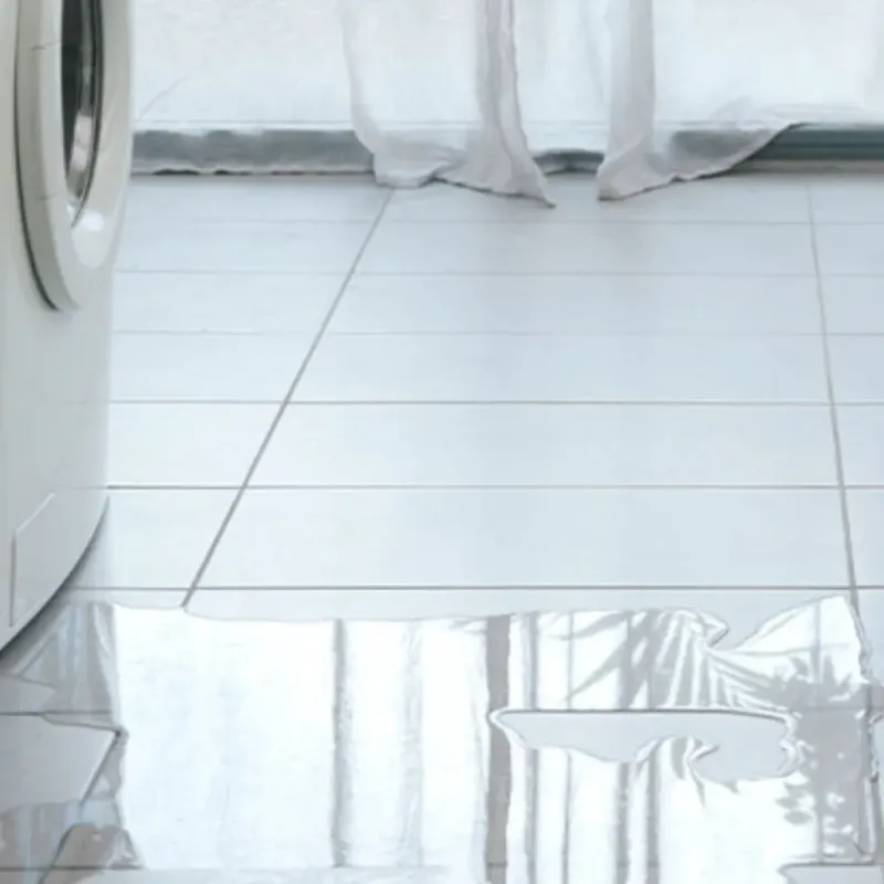 Appliance Leak Cleanup in Sioux Center, IA