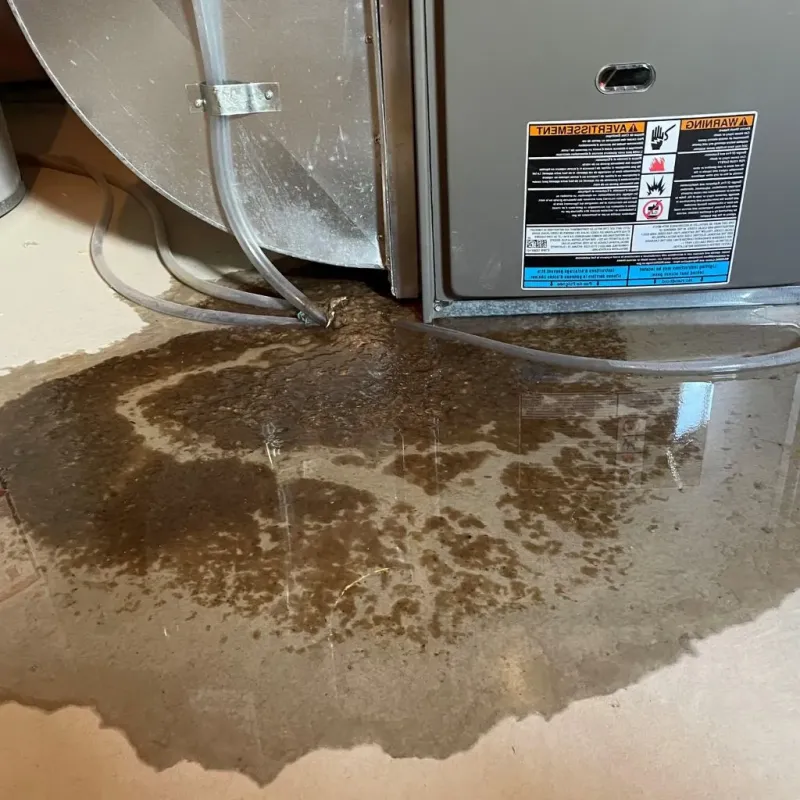 Pipe Burst and Leak Restoration in Sioux Center, IA