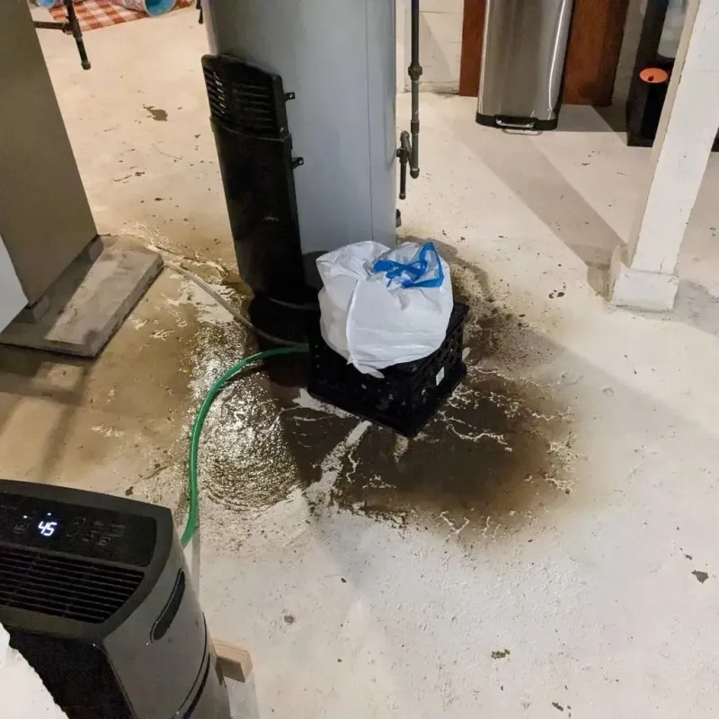 Sewage Backup Cleanup Service in Sioux Center, IA